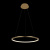 10014M Подвесной светильник LOFT IT Ring