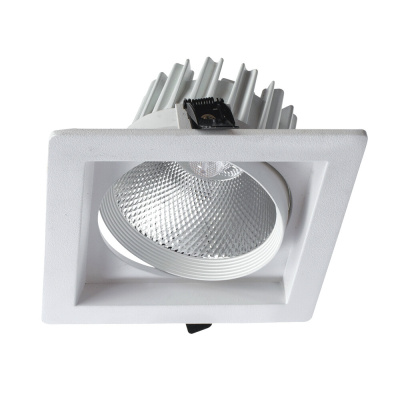 Карданный светильник Arte Lamp PRIVATO