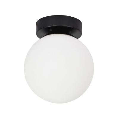 Настенно-потолочный светильник Arte Lamp ALCOR