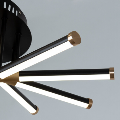 Потолочная люстра Arte Lamp FERNANDO