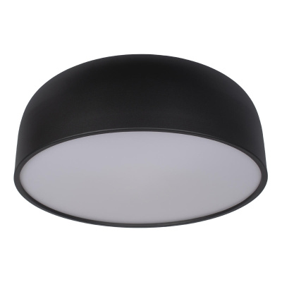 10201/480 Black Потолочный светильник LOFT IT Axel