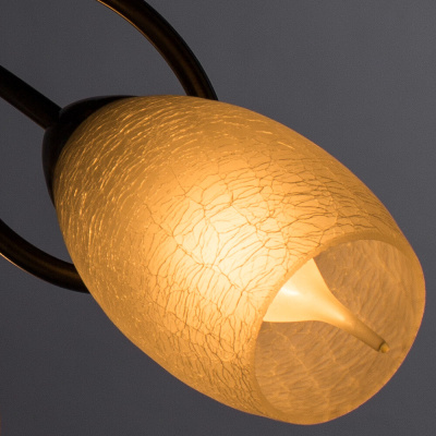 Потолочная люстра Arte Lamp MUTTI