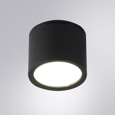 Уличный потолочный светильник Arte Lamp PIAUTOS