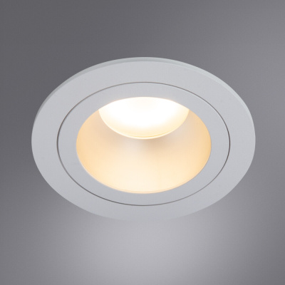 Точечный встраиваемый светильник Arte Lamp ALKES