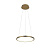 10014S Подвесной светильник LOFT IT Ring