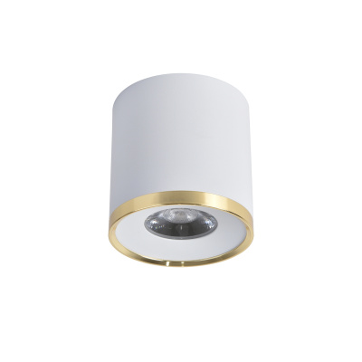 3085-2C, потолочный светильник, D88xH91, LEDx10W, 850LM, 4000K, IP20, included