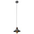 Подвесной светильник Arte Lamp LIDO A5067SP-1GY